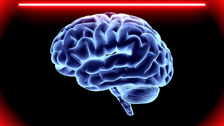 Brain Scan Animation GIF